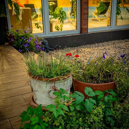 Orzechowy Domek Torzym Exterior foto